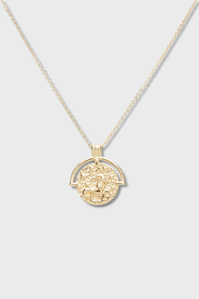 Astrology Necklace - Capricorn